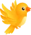 early bird